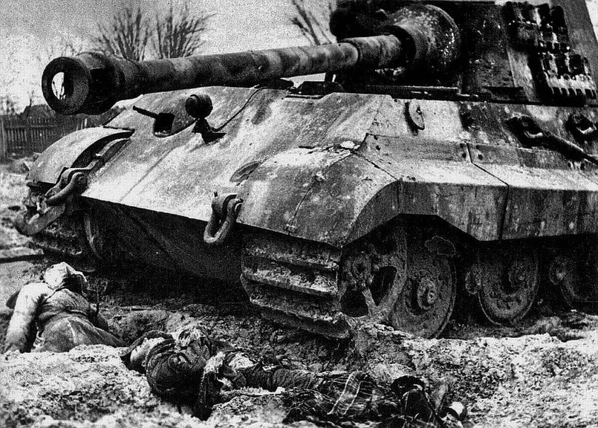 Подбитый танк тигр фото Почему немецкие танкисты не хотели переходить с Tiger 1 на Tiger 2? VarТехник Дз