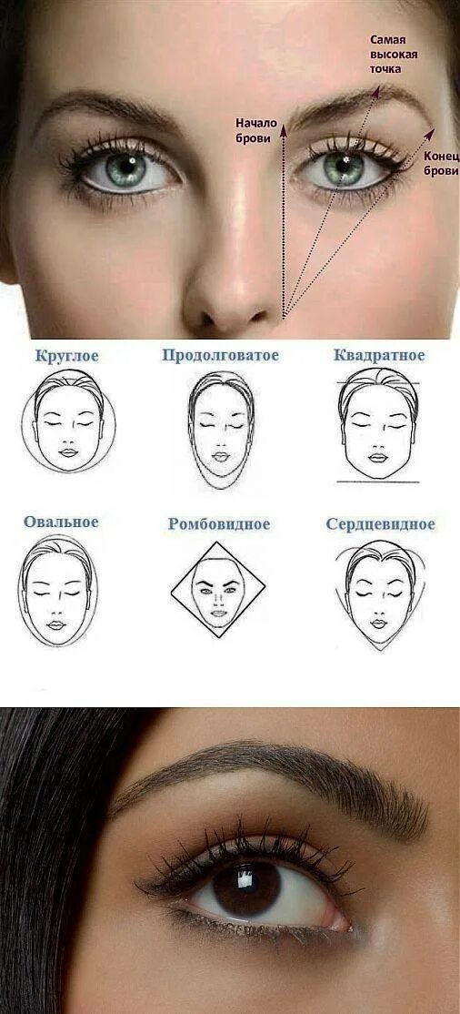 Подбор формы бровей по фото Коррекция бровей или придание формы бровям как правильно - журнал 13malyshok.ru