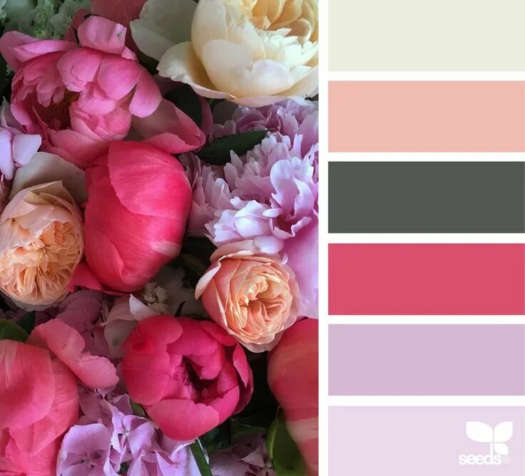 Подбор фото по цвету Flora Palette Design seeds color palette, Seeds color schemes, Seeds color