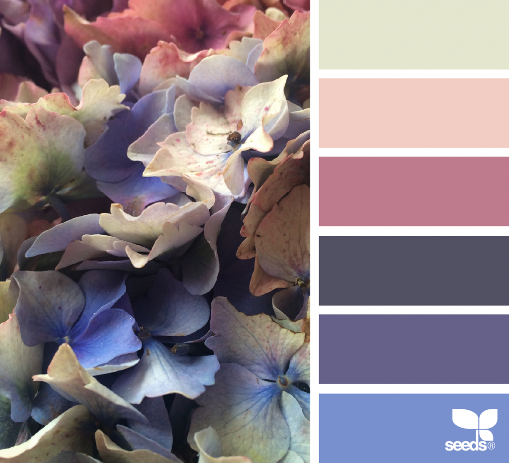 Подбор фото по цвету Flora Spectrum (design seeds) Design seeds color palette, Color inspiration, Col
