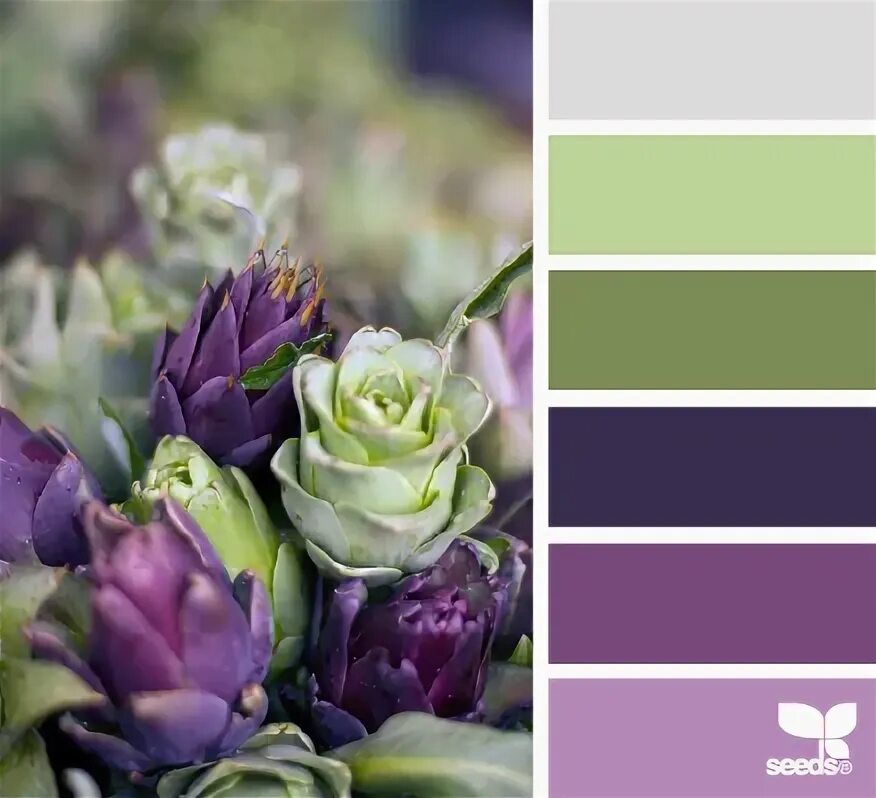 Подбор фото по цвету Artichoke hues - design seeds Design seeds, Color, Palette