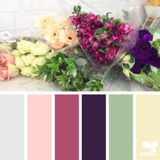 Подбор фото по цвету онлайн jessica colaluca on Instagram: "today's inspiration image for flora brights is f