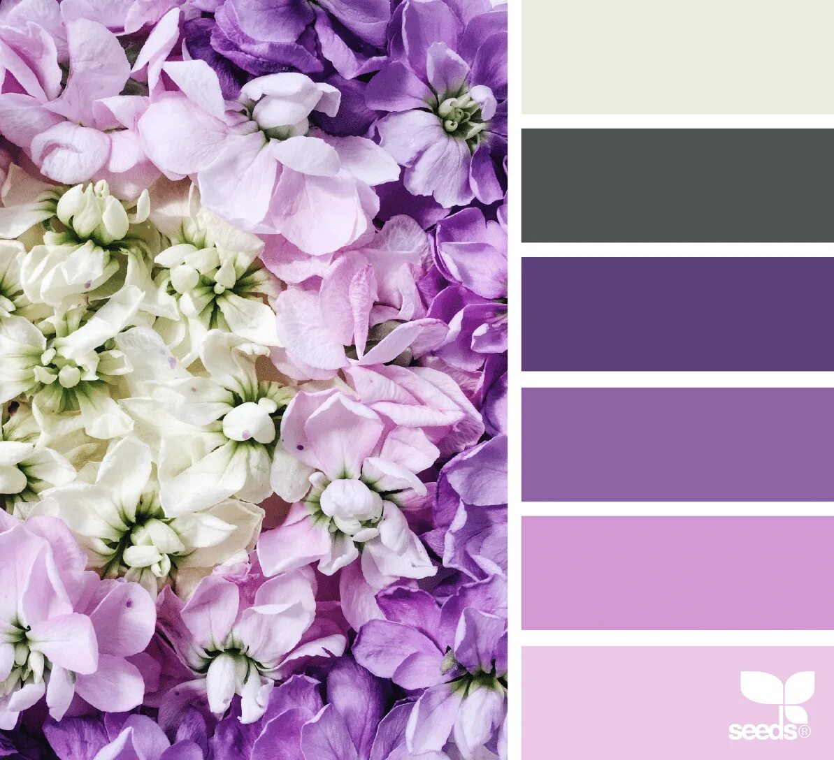 Подбор фото по цвету онлайн How to Use Purple in Your Design Projects Seeds color, Seeds color palette, Pain