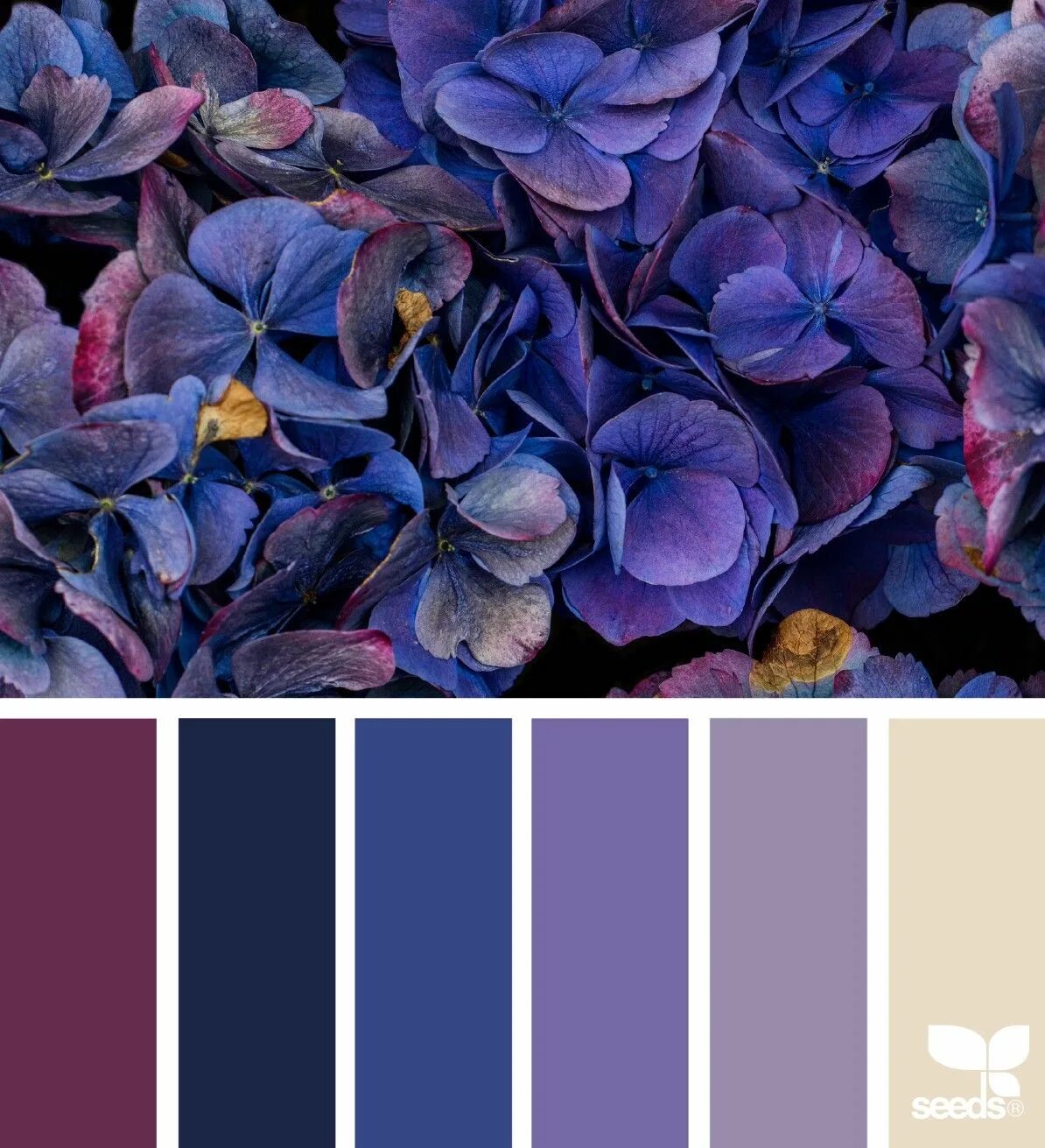 Подбор фото по цвету онлайн Палитра № 14 Design seeds color palette, Color palette design, Design seeds