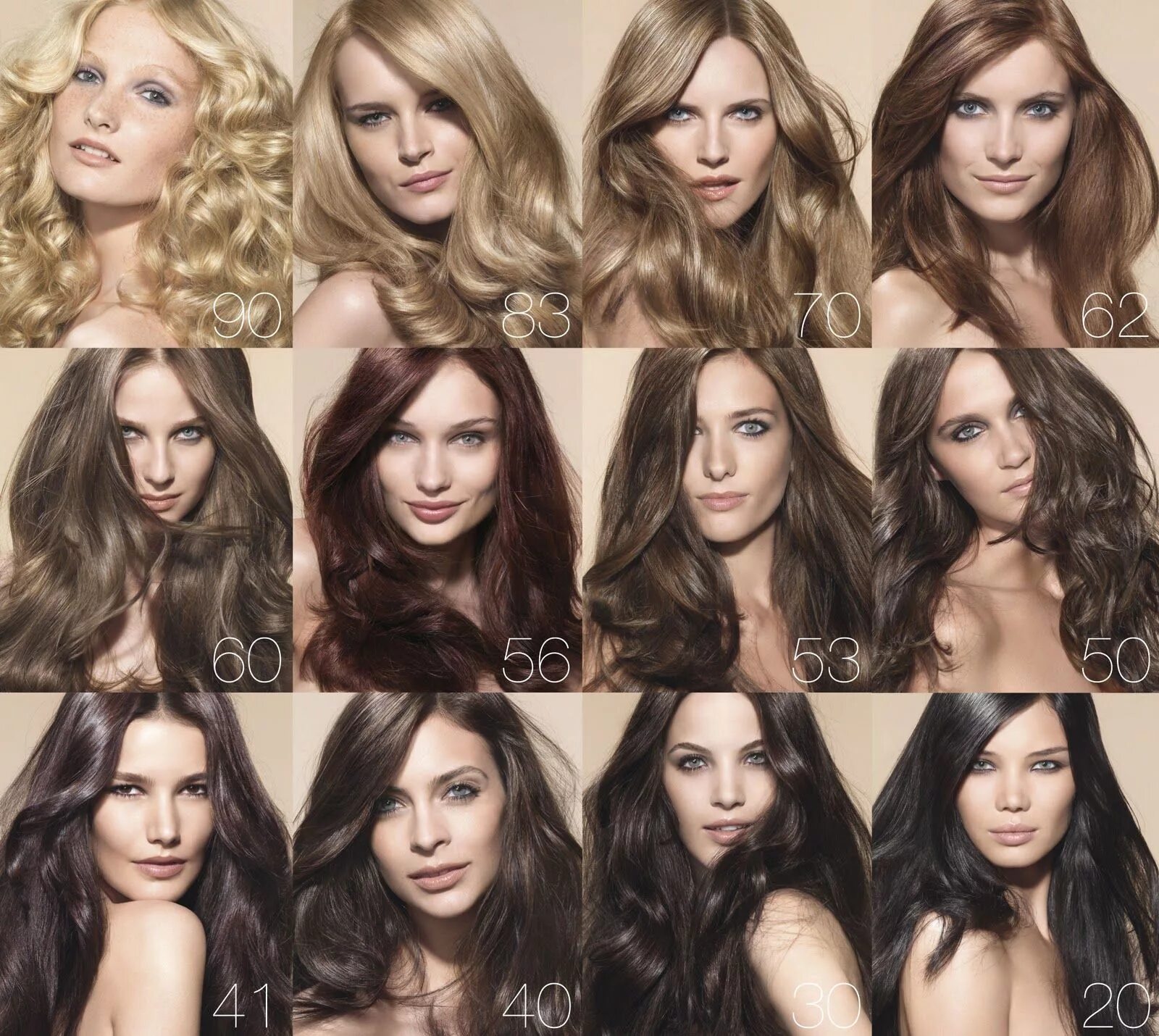 Подбор краски для волос фото loreal sublime mousse Loreal hair dye, Loreal hair color, Loreal hair color char