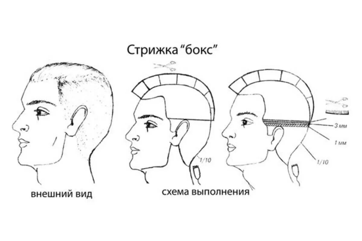 Подбор мужской стрижки Мужская стрижка с переходом: этапы стрижки и рекомендации по выполнению