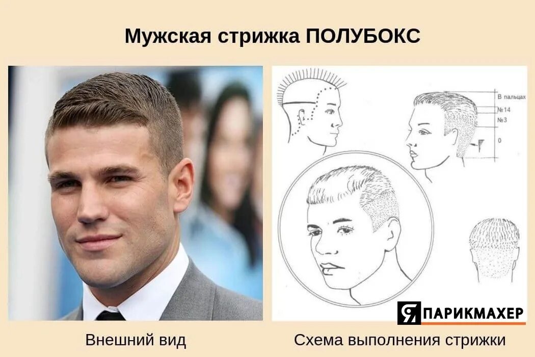 Подбор мужской стрижки #СХЕМА@gazetap Haircut "SemiBox" 2023 Я ПАРИКМАХЕР VK