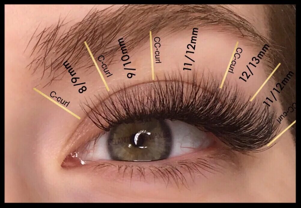 Подбор ресниц онлайн по фото Squirrel lash mapping Eyelash extensions, Eyelashes, Eyelash extentions