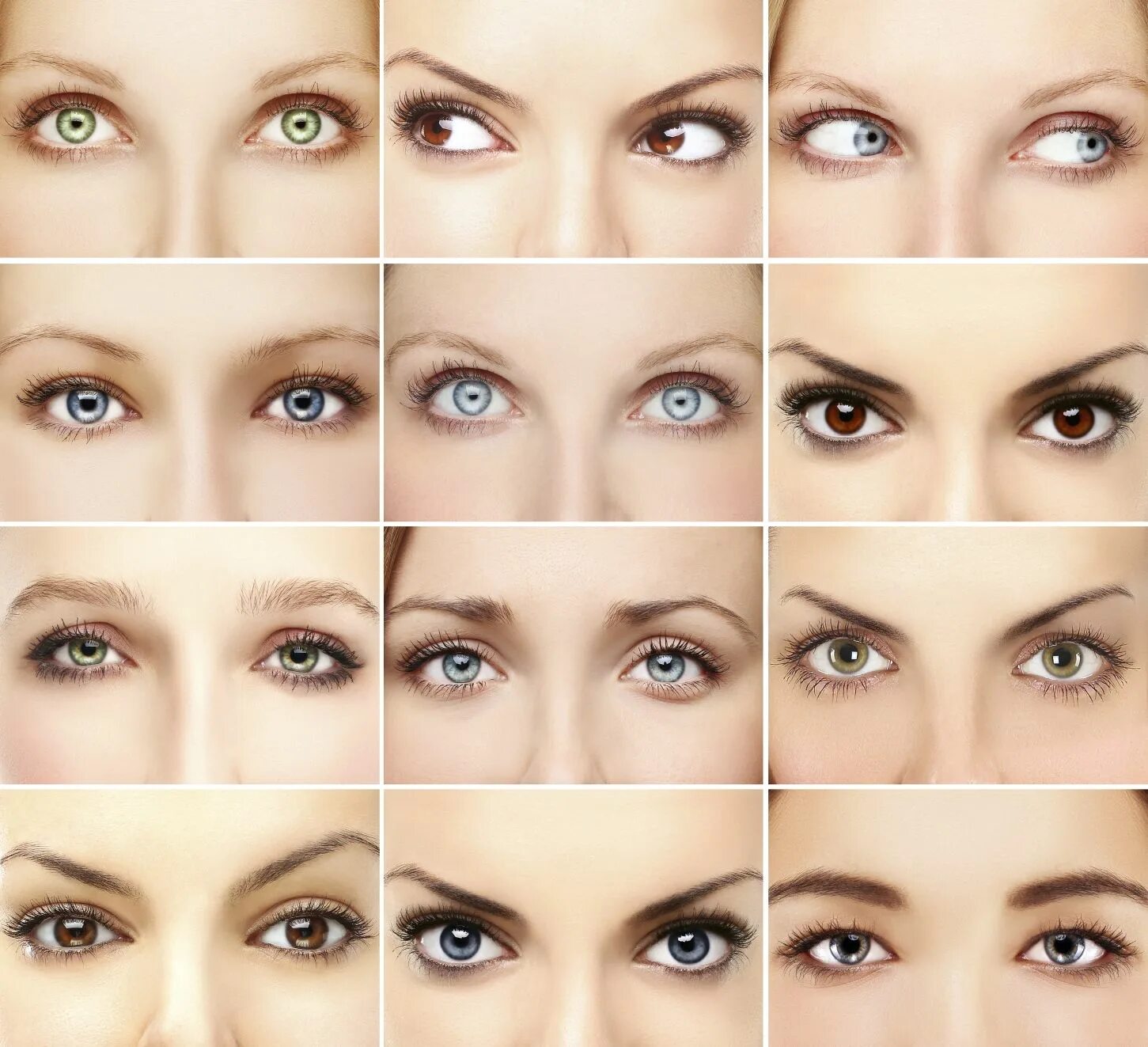 Подбор ресниц онлайн по фото Eye Shadow for your eye shape. Augen richtig schminken, Grosse augen schminken, 