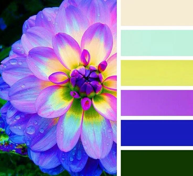 Подбор цветов онлайн по фото бесплатно No. 17 Color palette design, Color collage, Color schemes colour palettes