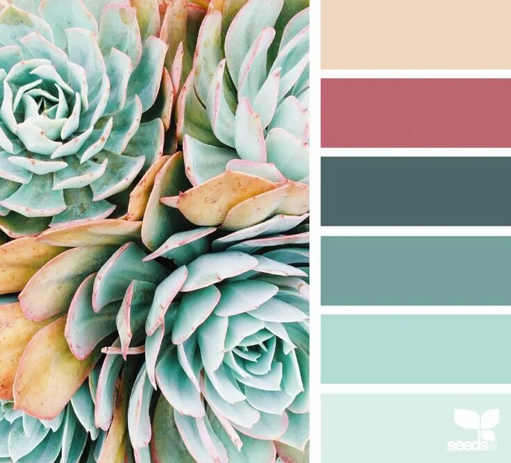 Подбор цветов онлайн по фото бесплатно Succulent Hues (design seeds) Seeds color, Seeds color palette, Color palette de