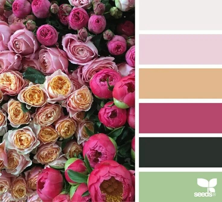 Подбор цветов онлайн по фото бесплатно La couleur rose fuchsia - à quoi l’associer et comment la combiner sans faute de