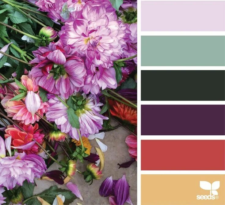 Подбор цветов онлайн по фото бесплатно flora hues image via: @designseeds Seeds color, Design seeds, Color palette desi