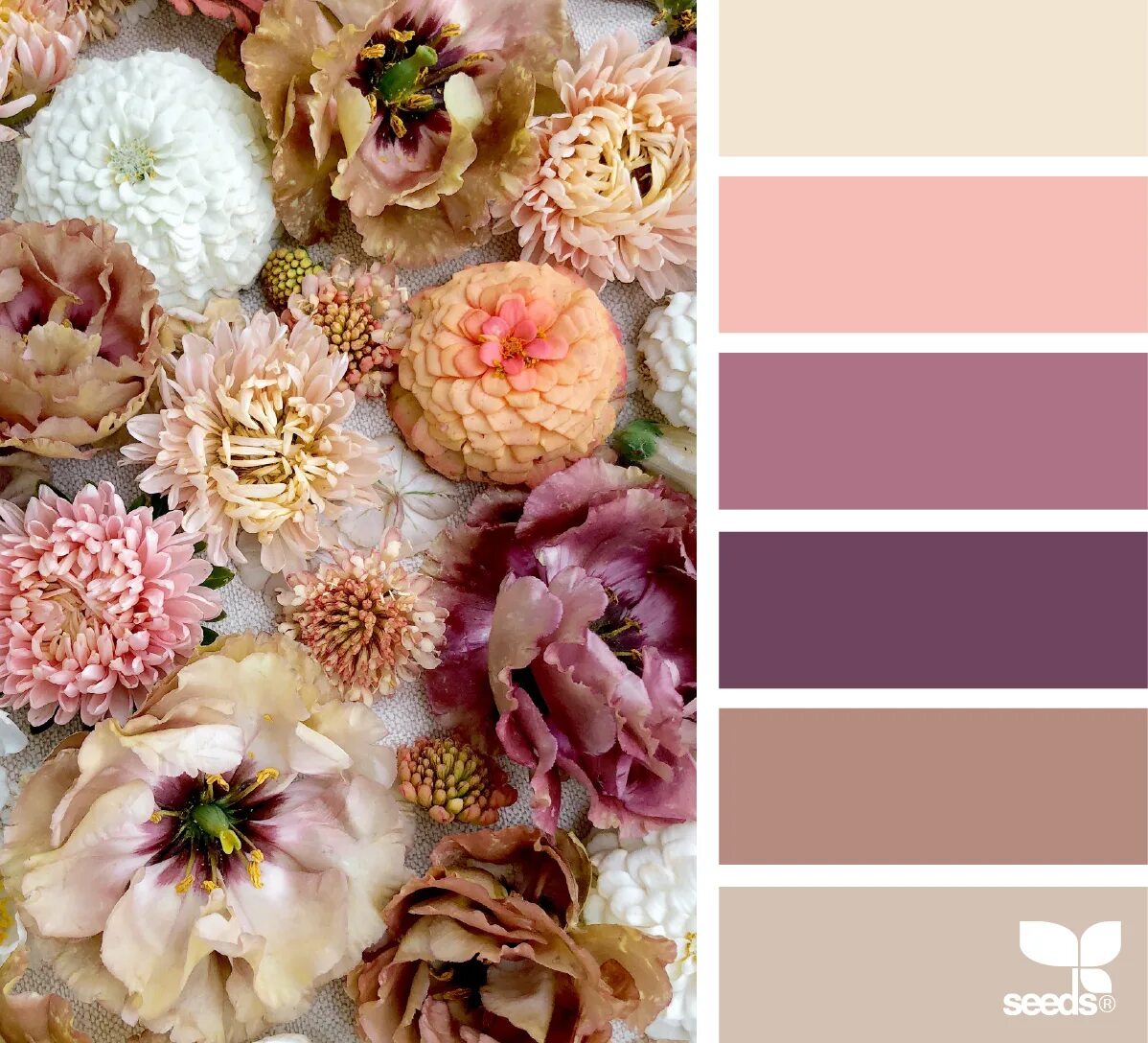 Подбор цветов онлайн по фото бесплатно Flora Hues September colors, Design seeds, Color balance