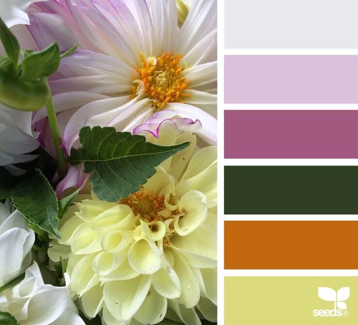 Подбор цветов онлайн по фото бесплатно Flora Tones Color schemes, Design seeds, Color pallets