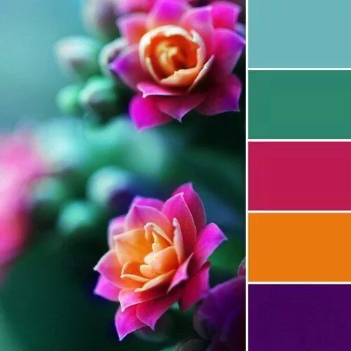 Подбор цветов онлайн по фото бесплатно Фотография Purple color palettes, Green colour palette, Color palette design