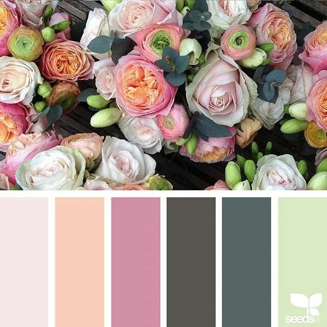Подбор цветов по фото Flora Hues Дизайн семена, Цвета краски, Цвета интерьера