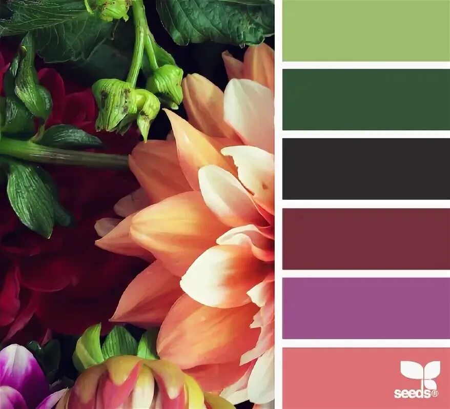 Подбор цветов по фото Design Seeds ® for all who ❤ color rich flora hues Seeds color, Design seeds, Co
