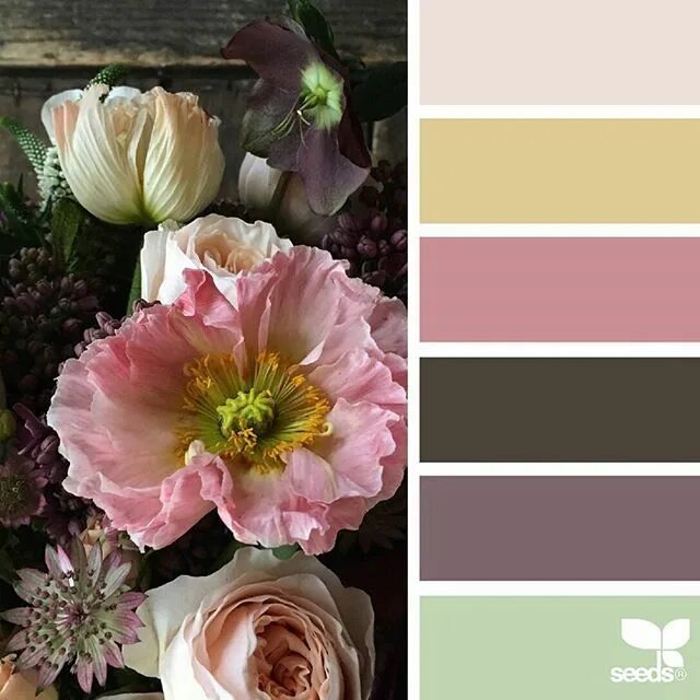 Подбор цветов по фото jessica colaluca on Instagram: "today's inspiration image for flora hues is by @