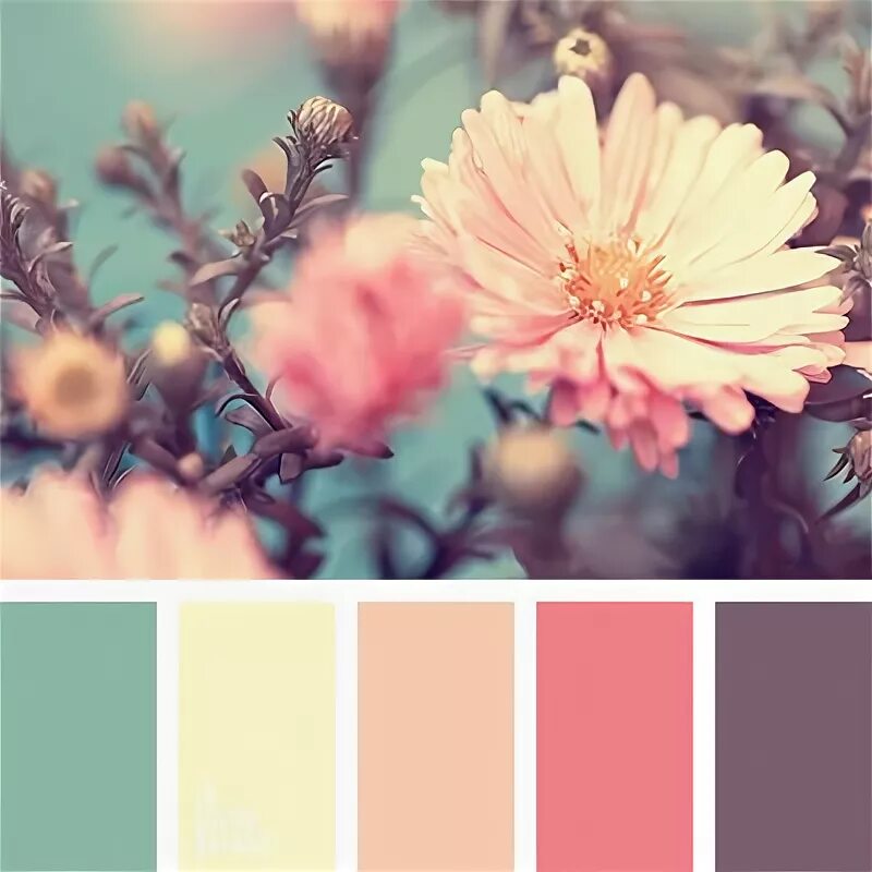 Подбор цветов по фото Page not found Interior Design Pro Color schemes, Color inspiration, Color combo