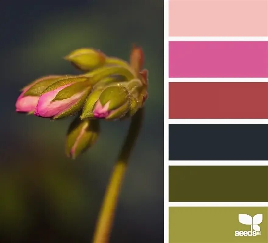 Подбор цветов по фото Color Wander Дизайн семена, Цветовые сочетания, Цвета краски