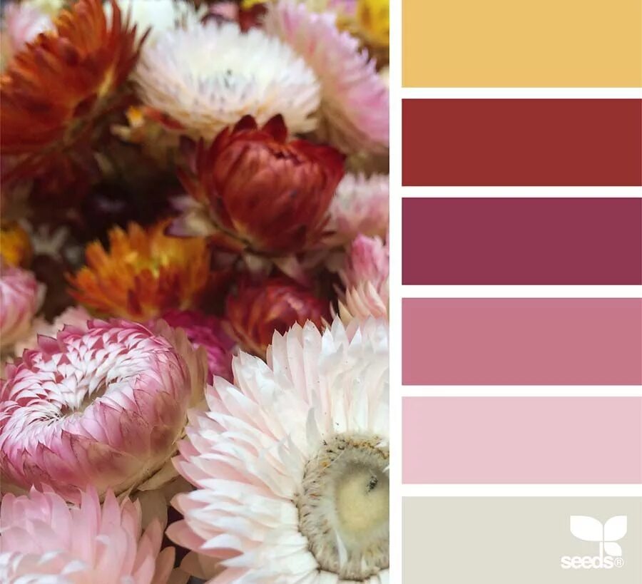 Подбор цветов по фото Bouquet rosa antico: i modelli più belli e le palette più originali! - Trilli e 