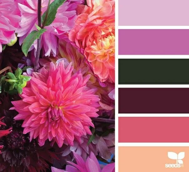 Подбор цветов по фото онлайн Pin by Иринка Картинка on Сочетание цветов Seeds color, Design seeds color palet