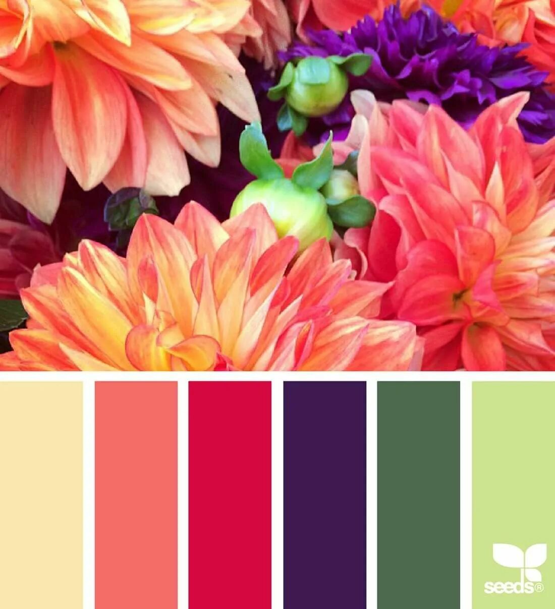 Подбор цветов по фото онлайн Pin on Color Inspiration Seeds color, Color schemes, Design seeds