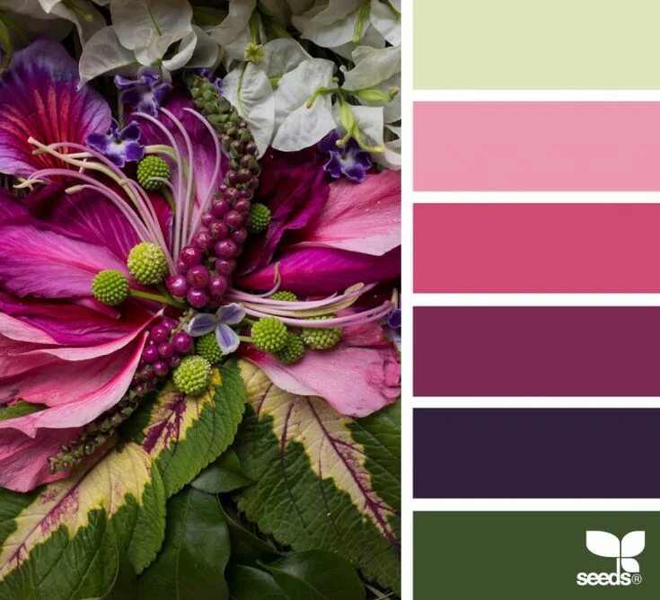 Подбор цветов по фото онлайн Color Flora Seeds color, Design seeds color palette, Color palette design