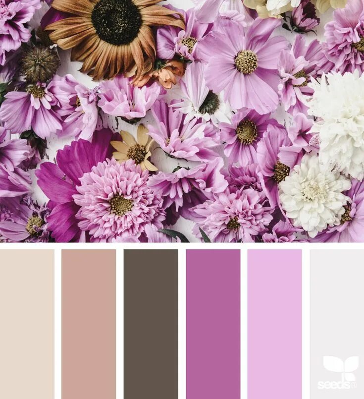 Подбор цветов по фото онлайн flora hues image via: @alajamie Seeds color, Design seeds, Design seeds color pa