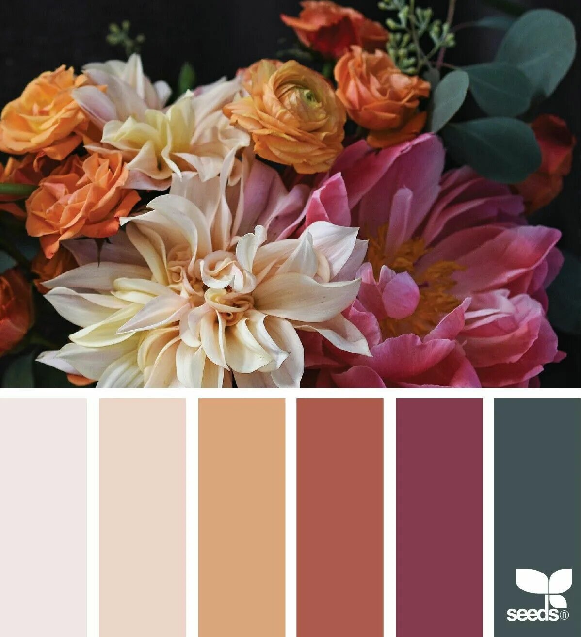 Подбор цветов по фото онлайн Flora palette Вдохновляющие цвета, Цветные рассказы, Цветовые схемы красок