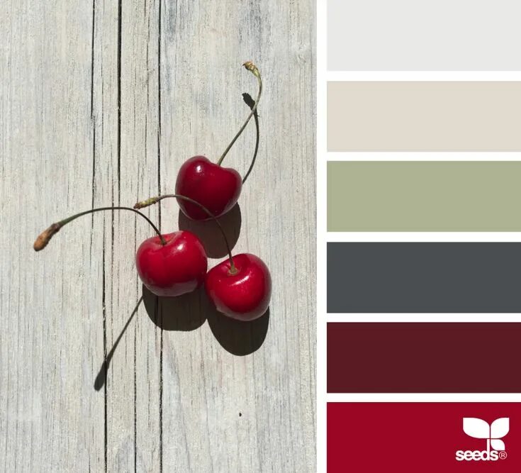 Подбор цветов в интерьере вишневый Picked Palette Design seeds, Color schemes design, Red colour palette