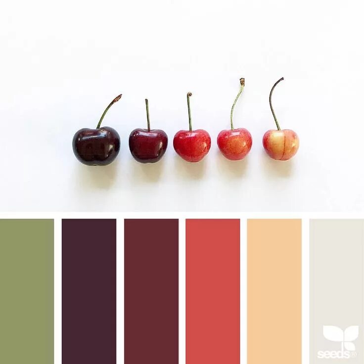 Подбор цветов в интерьере вишневый Jessica Colaluca, Design Seeds on Instagram: "today's inspiration image for fres