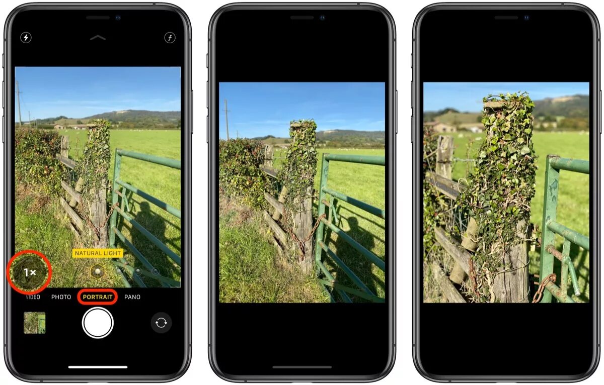 Подборка фото на айфоне How to Switch Focal Lengths in Portrait Mode on iPhone 11 Pro MacRumors Forums