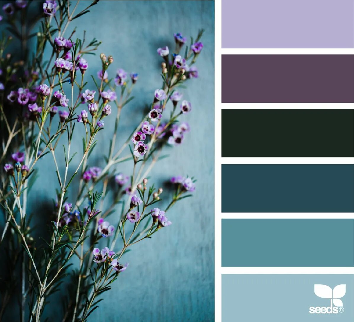 Подборка фото по цвету My Favorite Color Pallet Color schemes colour palettes, Color schemes, Design se