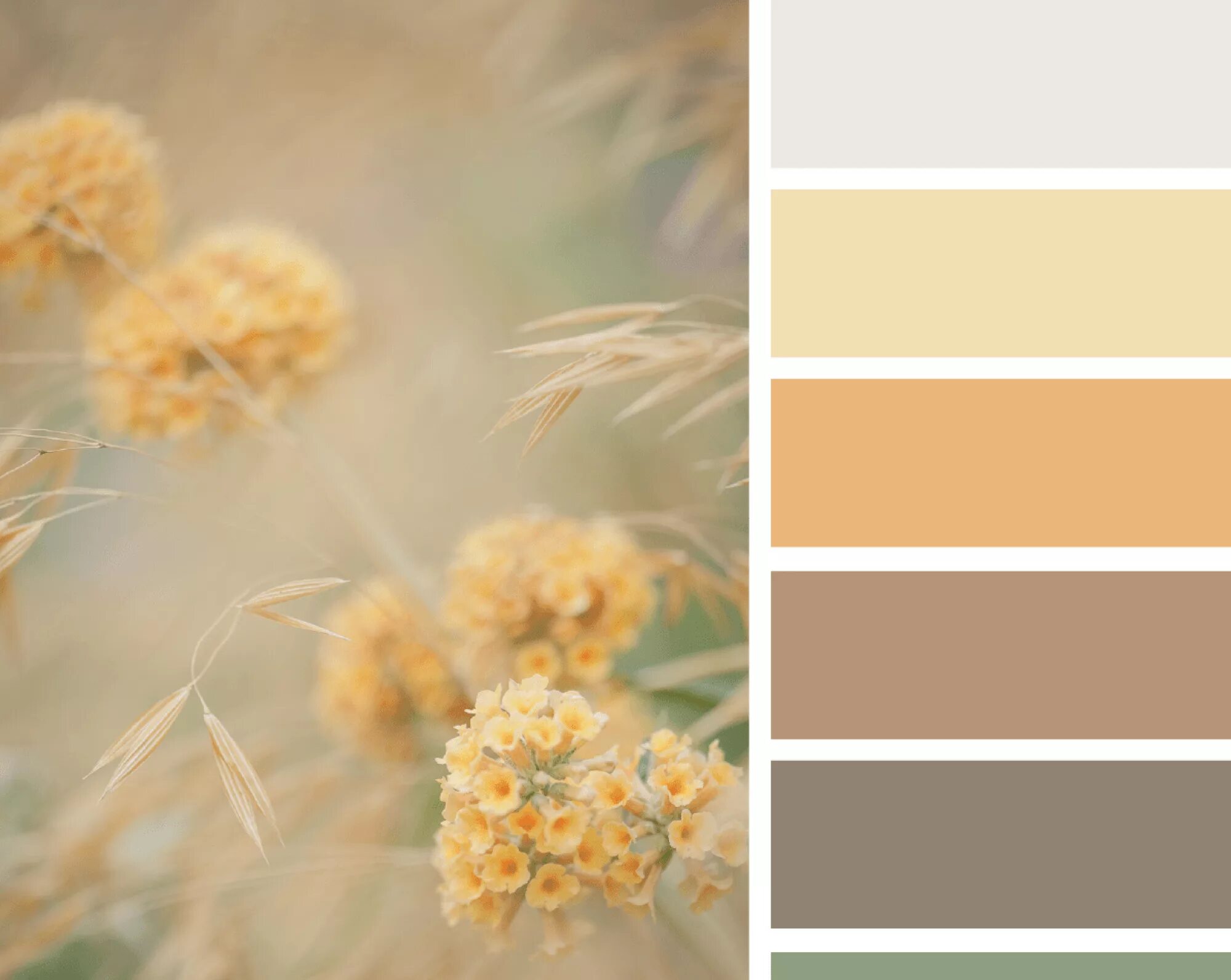 Подборка фото по цвету Бежевый цвет в интерьере: сочетание цветов Legko.com Seeds color, Design seeds c