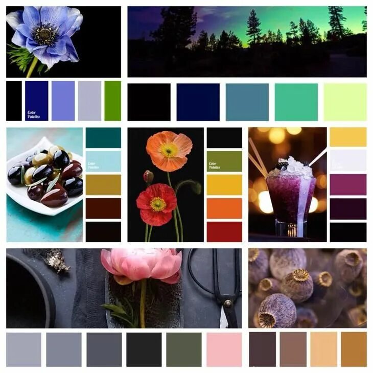 Подборка фото по цвету Черный цвет в одежде: за и против, с чем сочетать Color, Color wheel, Colour boa