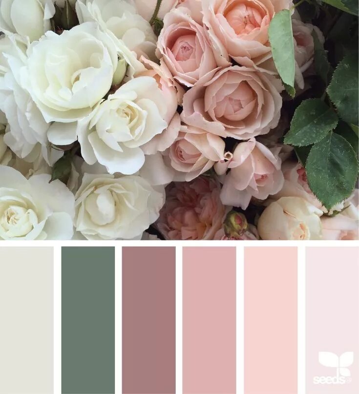 Подборка фото по цвету Pin von Татьяна auf Цветы по цветовой гамме Hochzeit farbpalette, Farbpalette, P