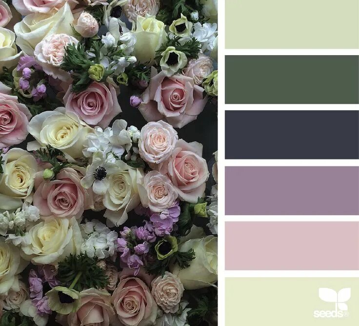 Подборка фото по цвету Flora Palette in 2024 Seeds color, Design seeds, Color schemes