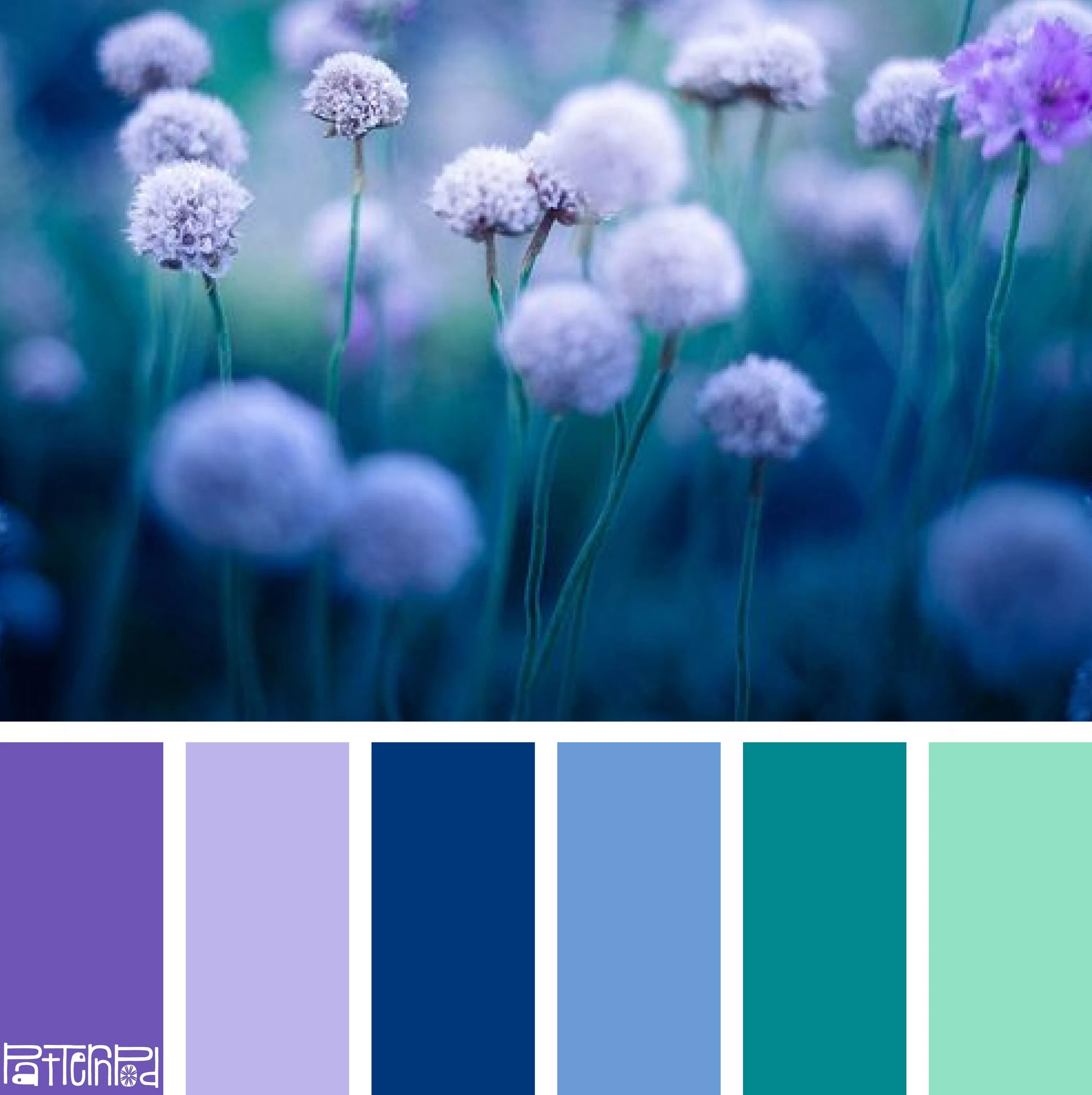 Подборка фото по цвету Pattern Pod: The Latest Designs in Seamless Patterns Color palette, Color inspir