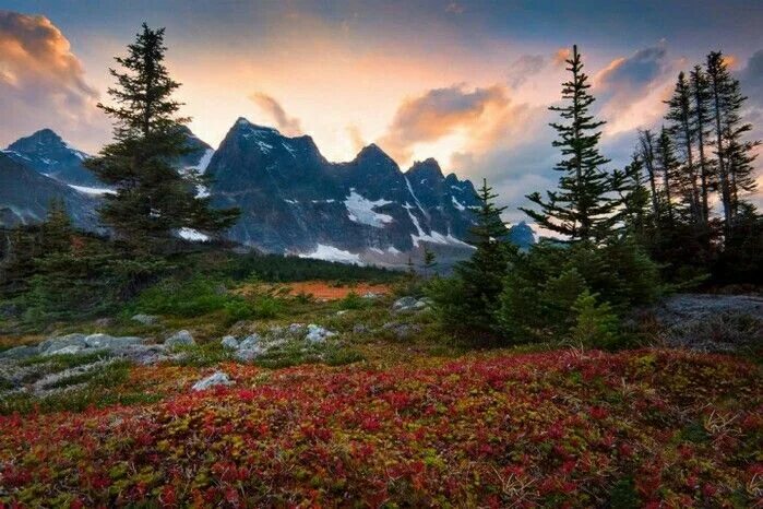 Подборка фото природы Pin by Софья Litisija on Природа,животные,красоты Земли Hiking spots, Breathtaki