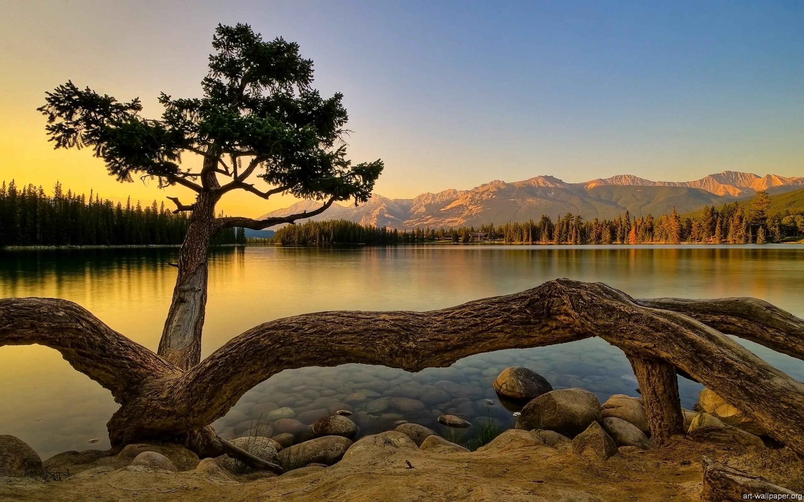 Подборка фото природы Best Wallpapers Beautiful landscapes, Beautiful nature, Landscape wallpaper