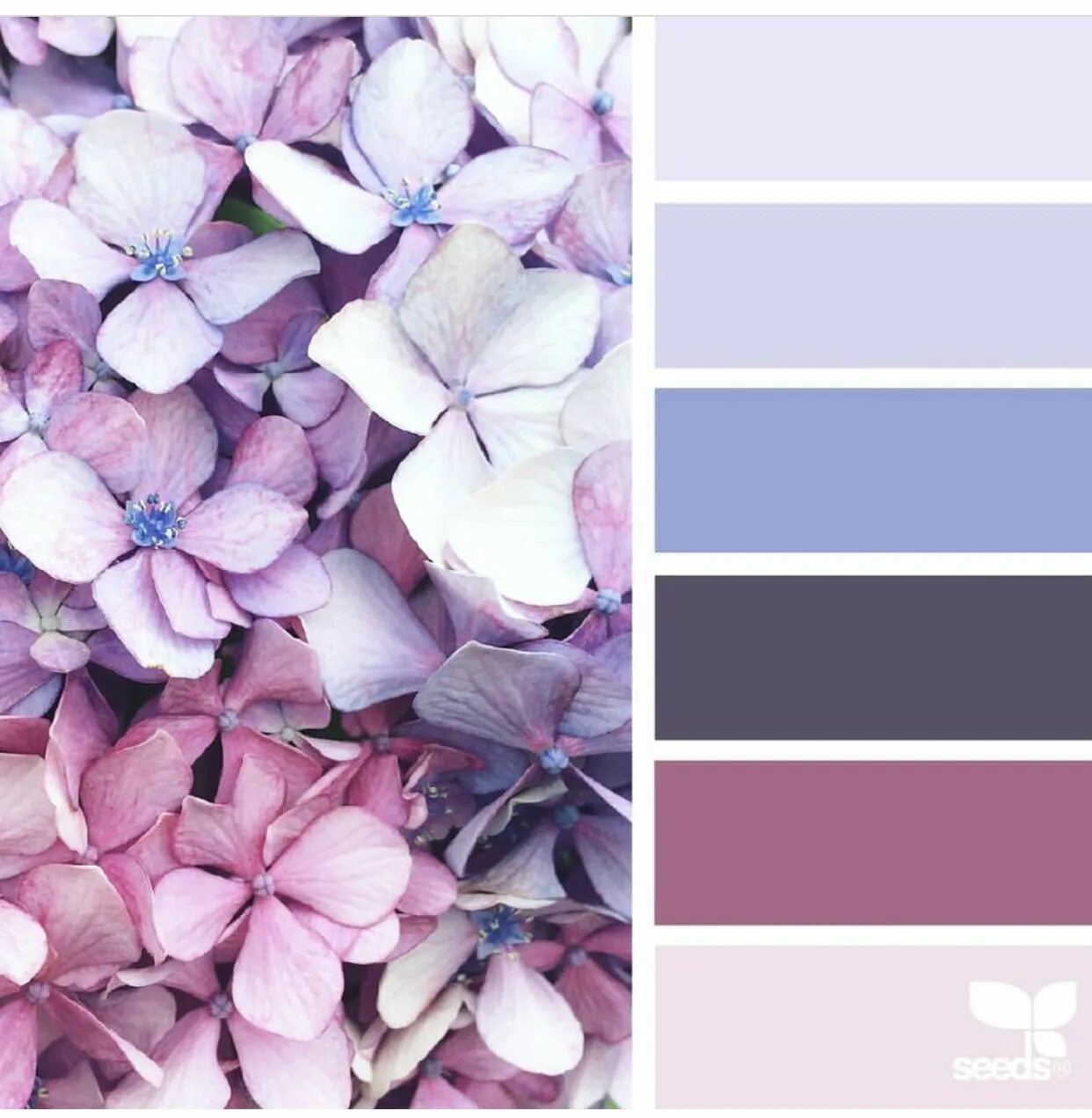Подборка цветов по фото Pin on colors Design seeds color palette, Design seeds, Seeds color palette