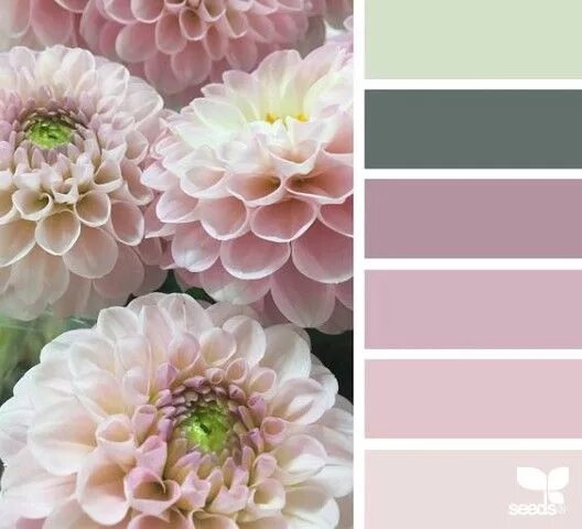 Подборка цветов по фото Фотография Design seeds, Seeds color, Color schemes colour palettes