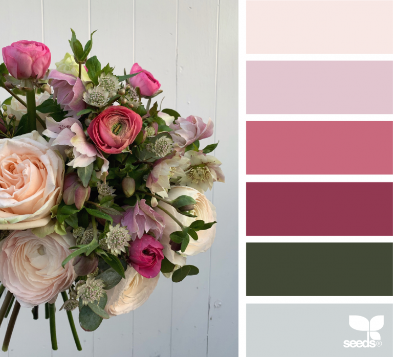 Подборка цветов по фото Color Flora Design seeds, Red colour palette, Color schemes