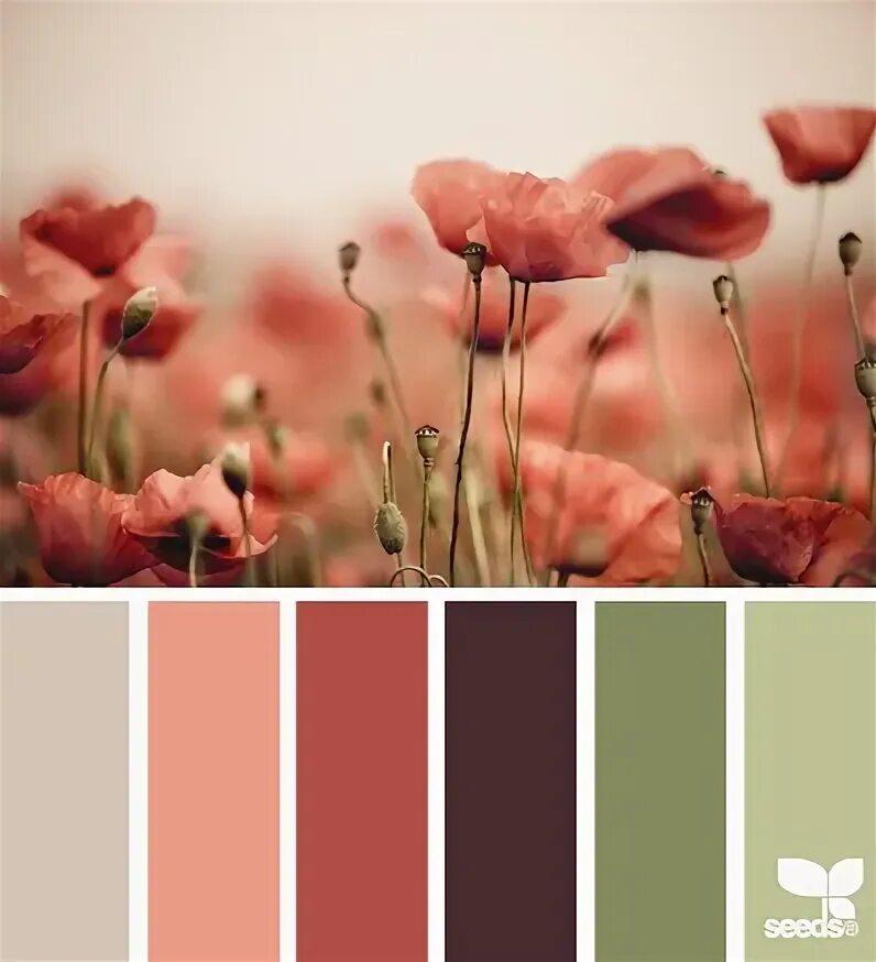 Подборка цветов по фото poppy tones Design seeds, Color schemes, Colour