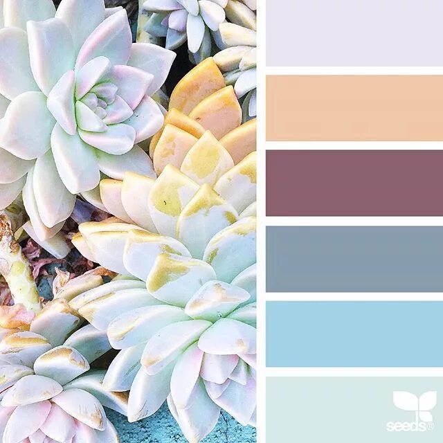 Подборка цветов по фото Design Seeds Seeds color, Seeds color palette, Design seeds color palette