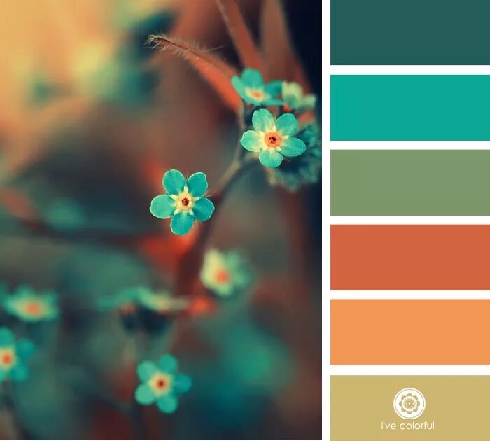 Подборка цветов по фото Pin on Farbkombinationen in 2024 Color schemes, Colours, Design seeds
