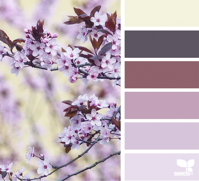Подборка цветов по фото Color Spring (fresh hues ) Design seeds, Seeds color, Color inspiration