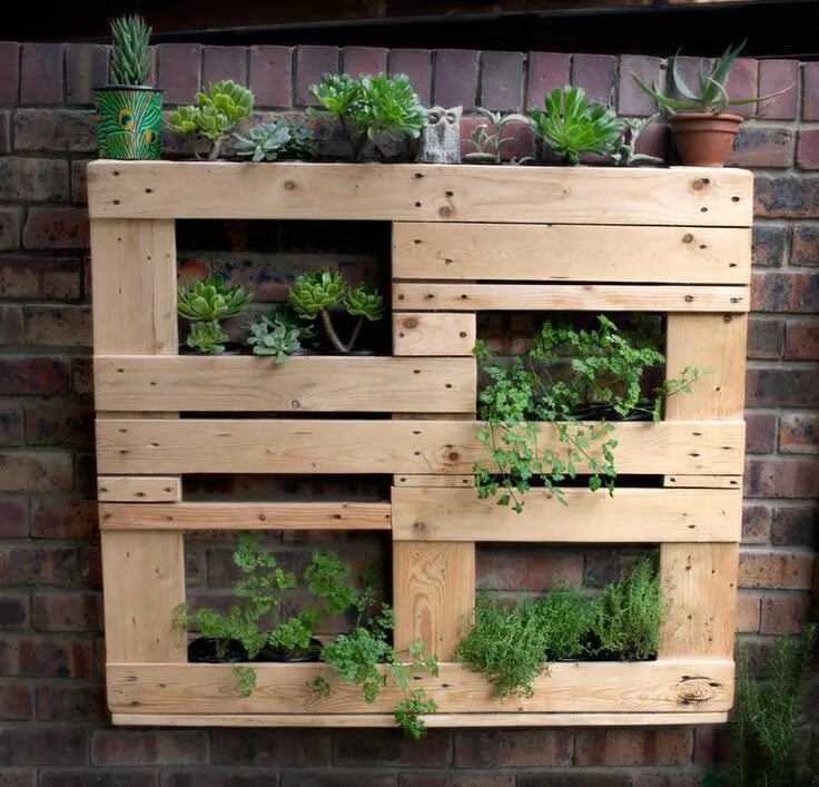 Поддоны для дачи идеи фото Unstructured Pallet Vertical Garden - 1001 Gardens Pallets garden, Vertical gard